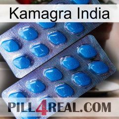 Kamagra India viagra2